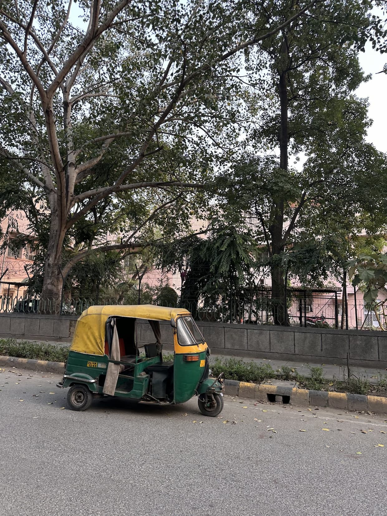 A green and yellow tuk-tuk parked under tall trees
