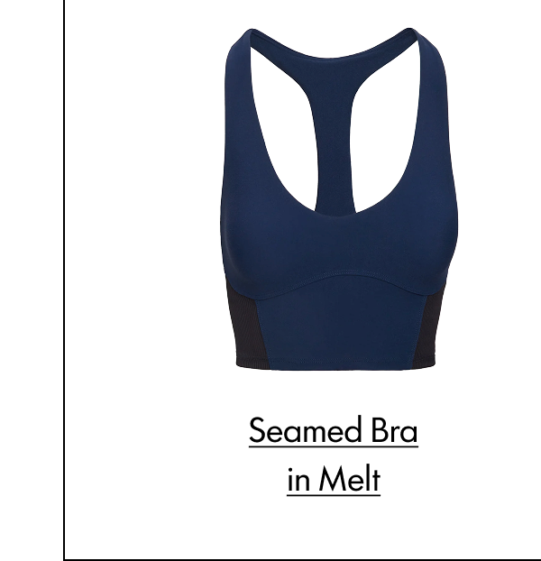 Seamed Bra in Melt
