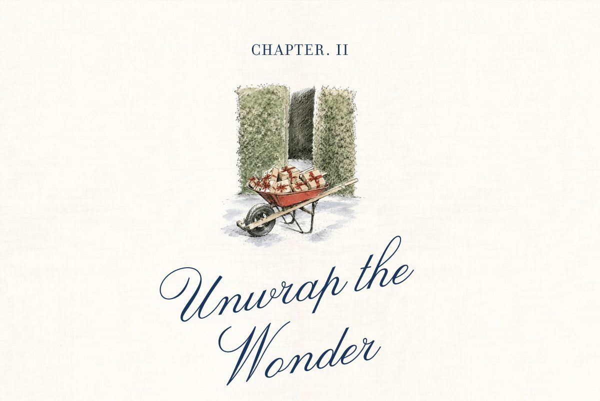 CHAPTER II Unwrap the Wonder