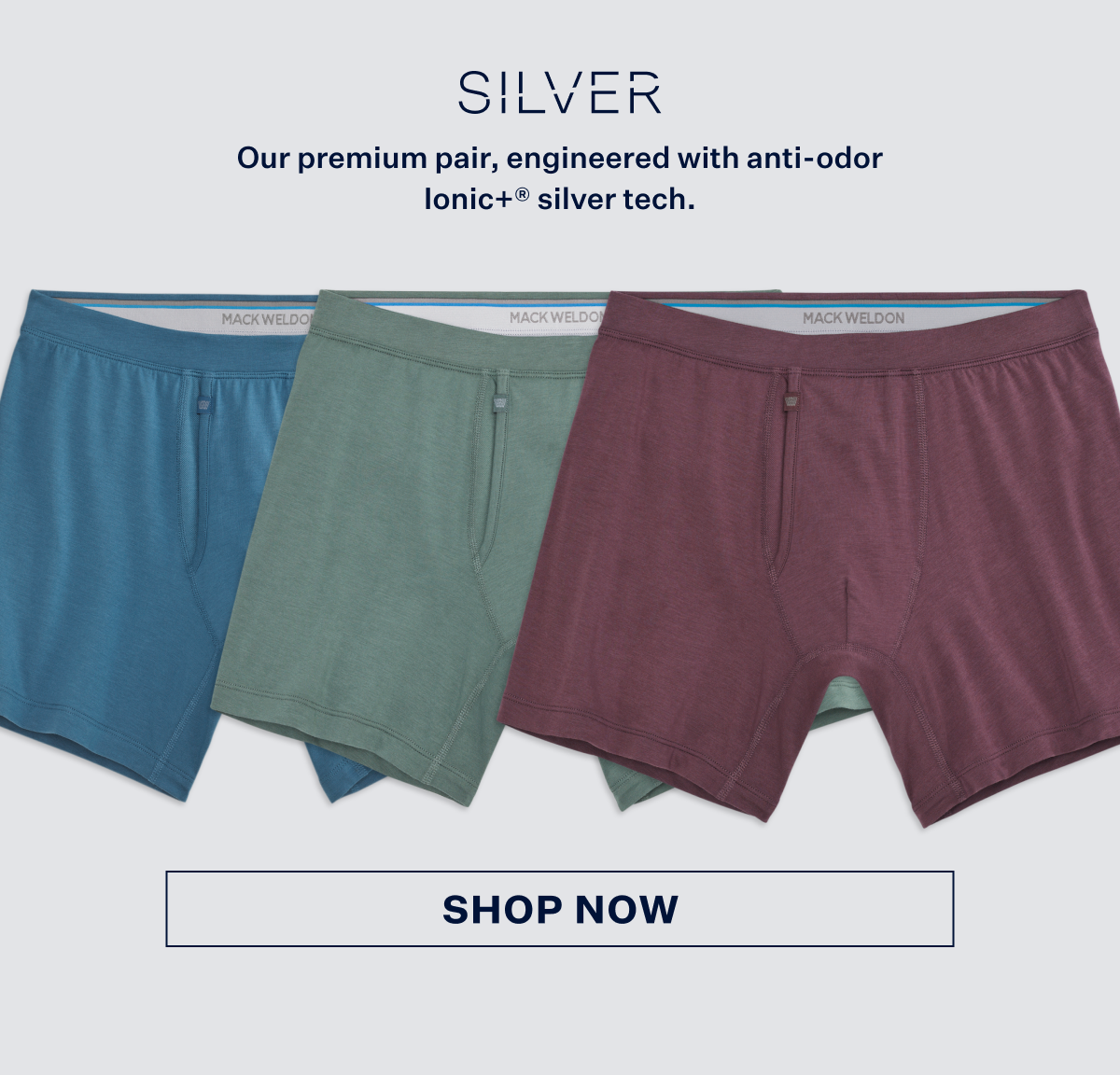 Silver Boxer Brief