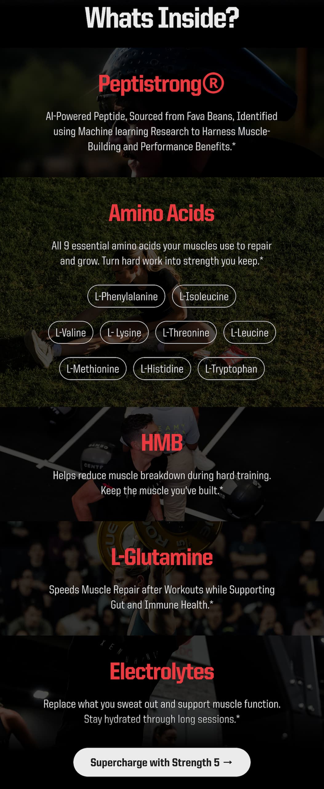 Supercharge With Strength 5 - Whats Inside