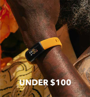 Under $100