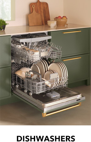 DISHWASHERS