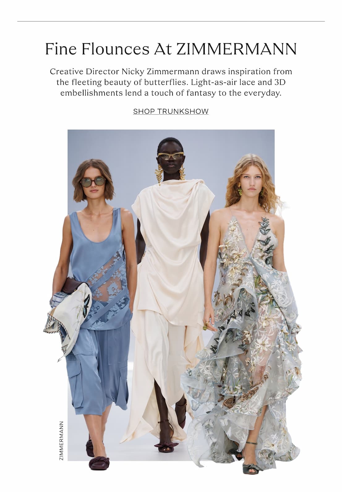 zimmermann_img