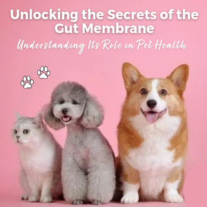 Pet Feature: Unlocking the Secrets of the Gut Membrane