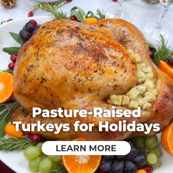 pasture-raised turkeys