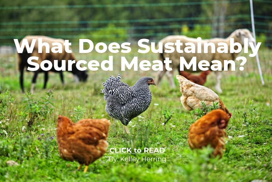 Kelley Herring, Sustainably Sourced Meats