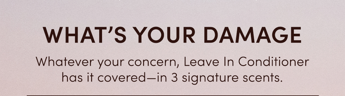 What's Your Damage? Whatever your concern, Leave In Conditioner has it covered—in 3 signature scents