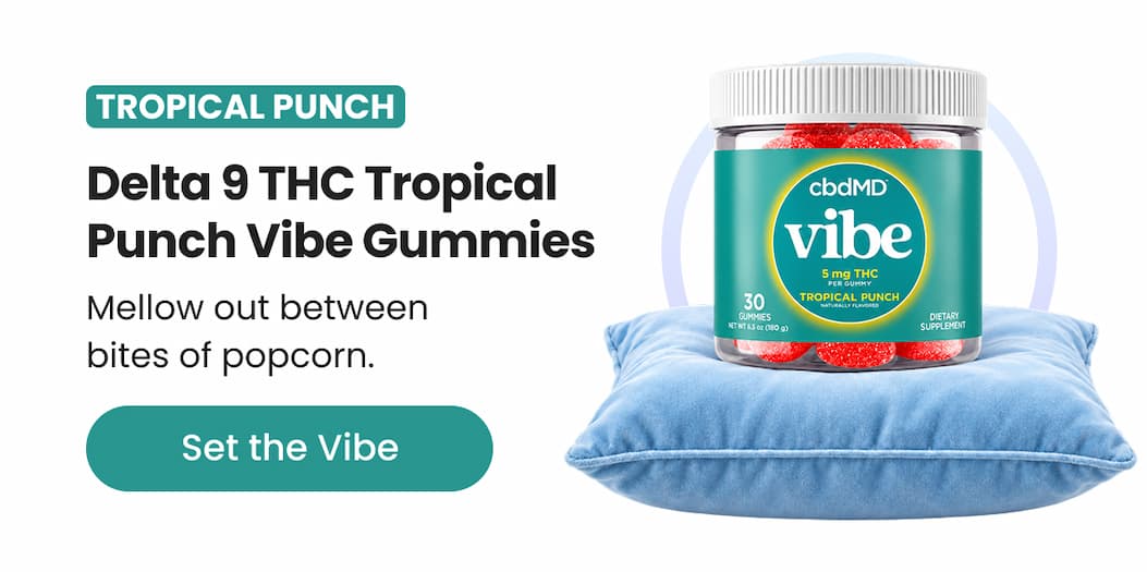 Delta 9 THC Tropical Punch Vibe Gummies