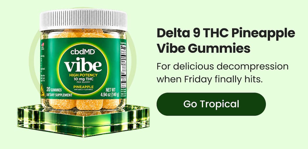 Delta 9 THC Pineapple Vibe Gummies