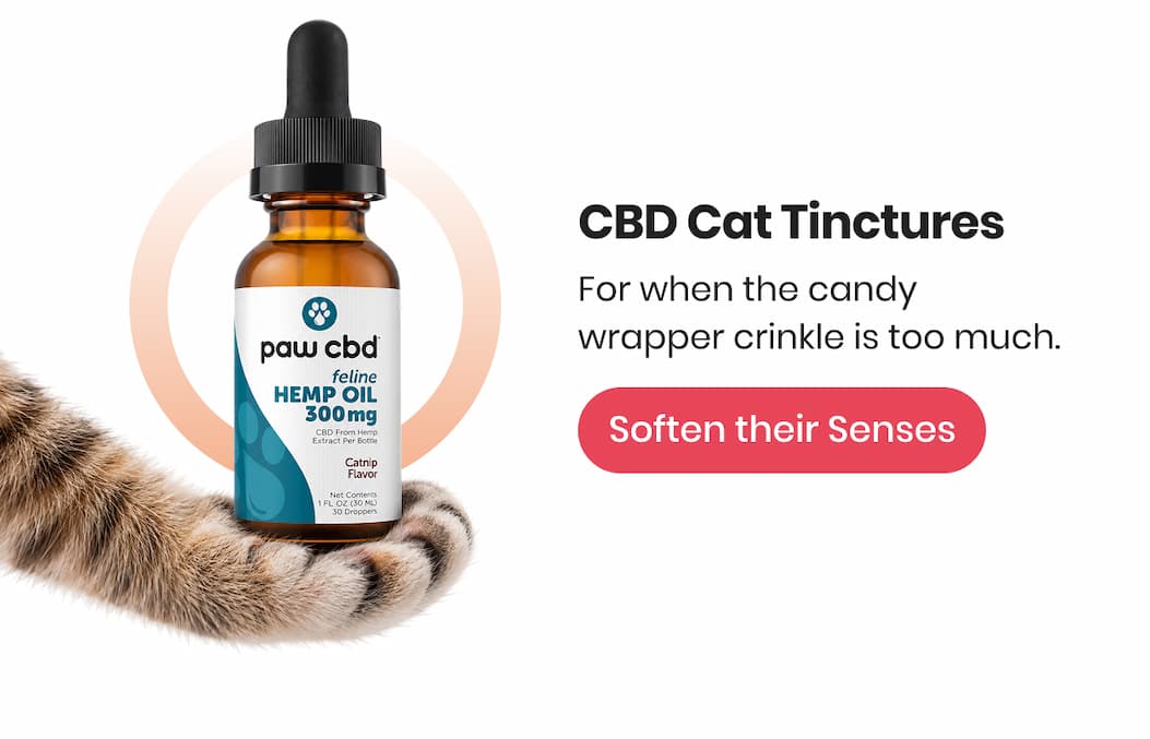 CBD Cat Tinctures