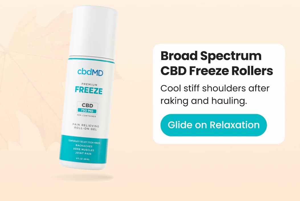 Broad Spectrum CBD Freeze Rollers