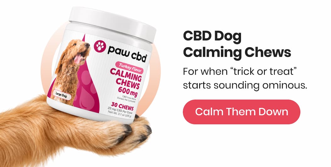 CBD Dog Calming Chews