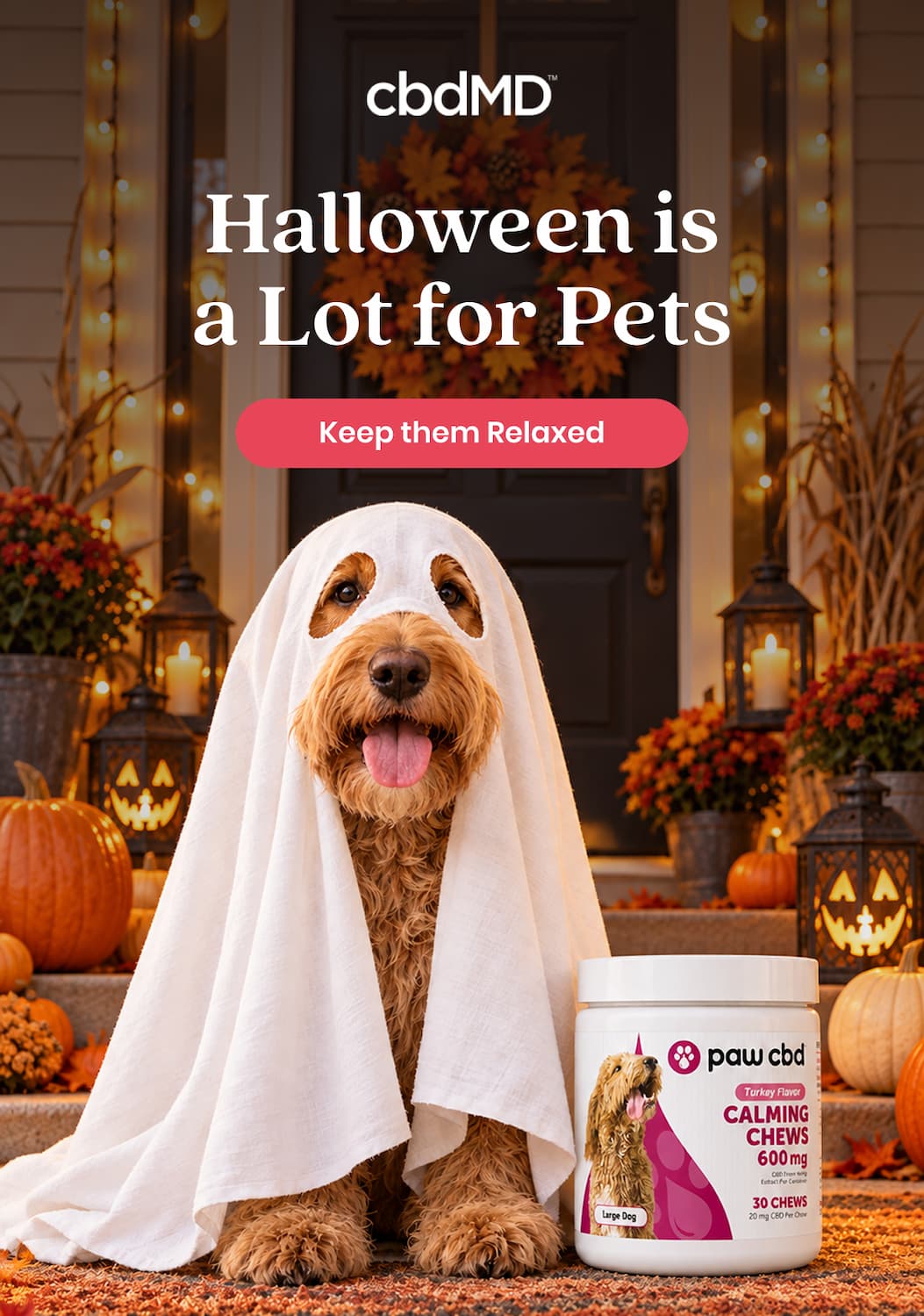 Halloween is a Lot for Pets