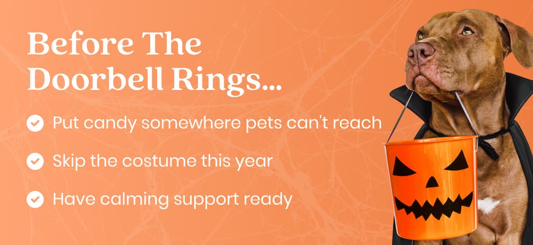 Before The Doorbell Rings…