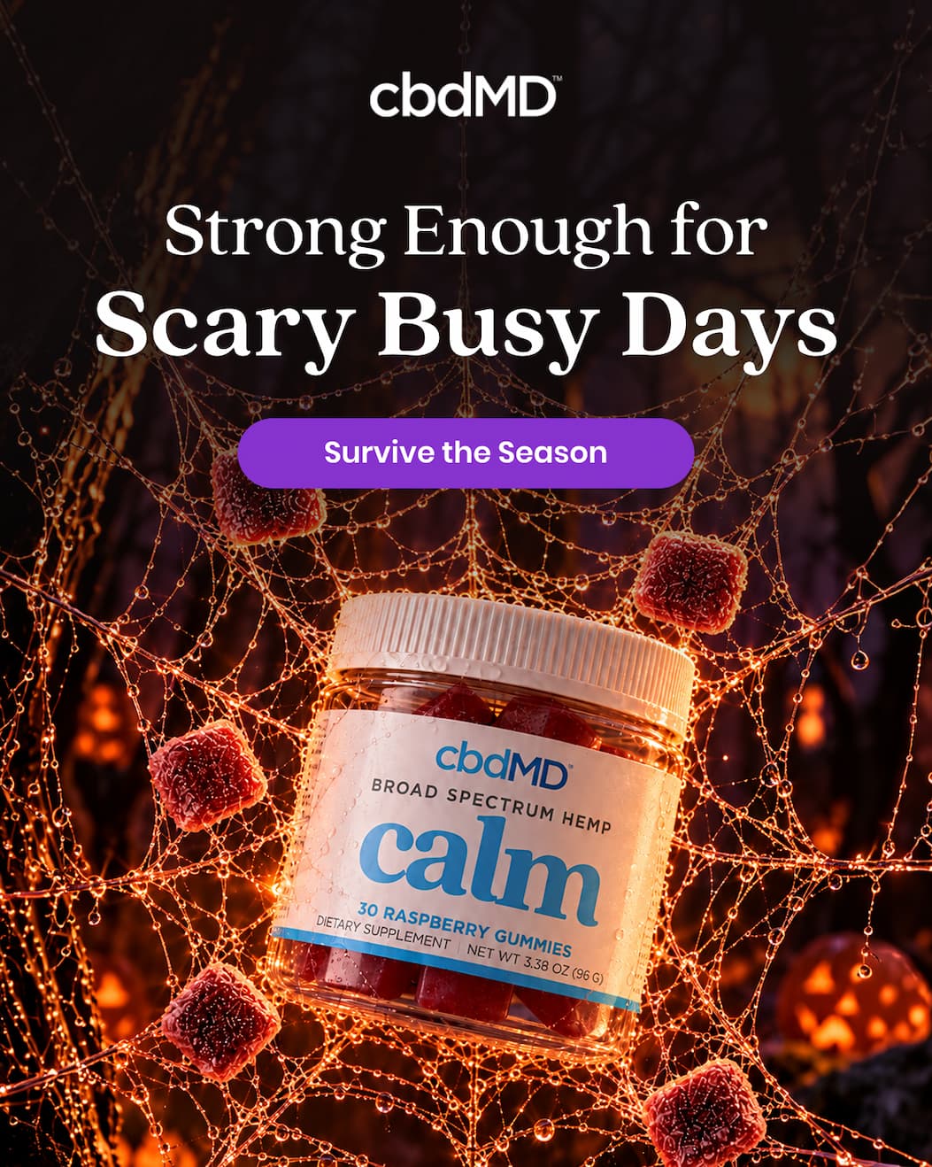 Strong Enough for Scary Busy Days