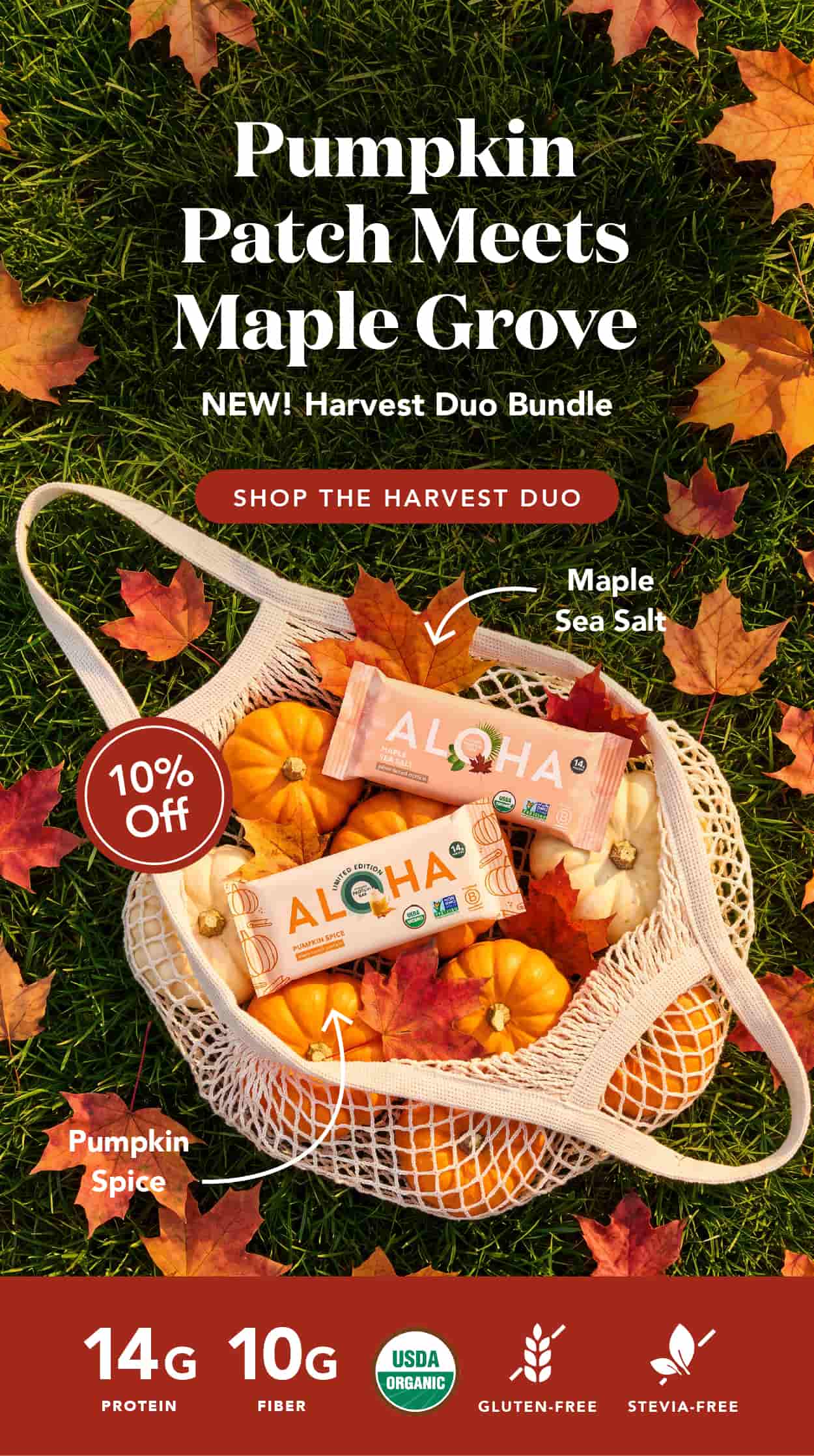 Pumpkin Patch meets Maple Grove! Shop the Harvest Duo