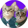 Merry and Pippin, two tabby cats dressed as hobbits.