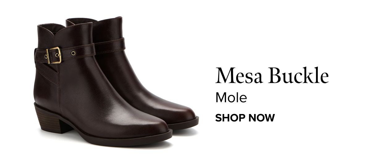 Mesa Buckle - Mole