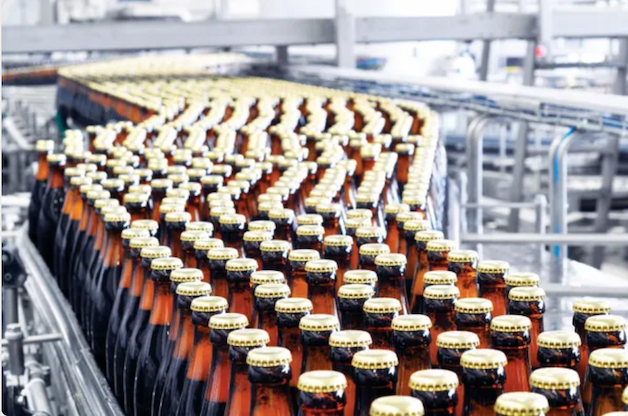 Photo of brown beer bottles proceeding along a conveyor belt in a long line, five across.
