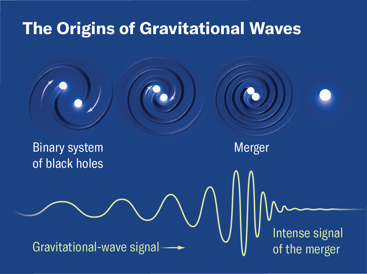 Graphic shows how a binary system of two co-orbiting black holes causes ripples in spacetime known as gravitational waves. The waves increase in frequency as the black holes get closer together, and the signal detected on Earth increases in intensity until it peaks at the merger.