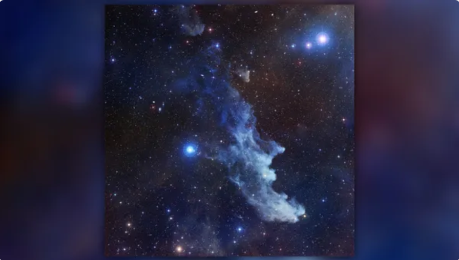 An image of the Witch Head Nebula, which looks exactly like it sounds - an aged face in profile, outlined with wispy matter