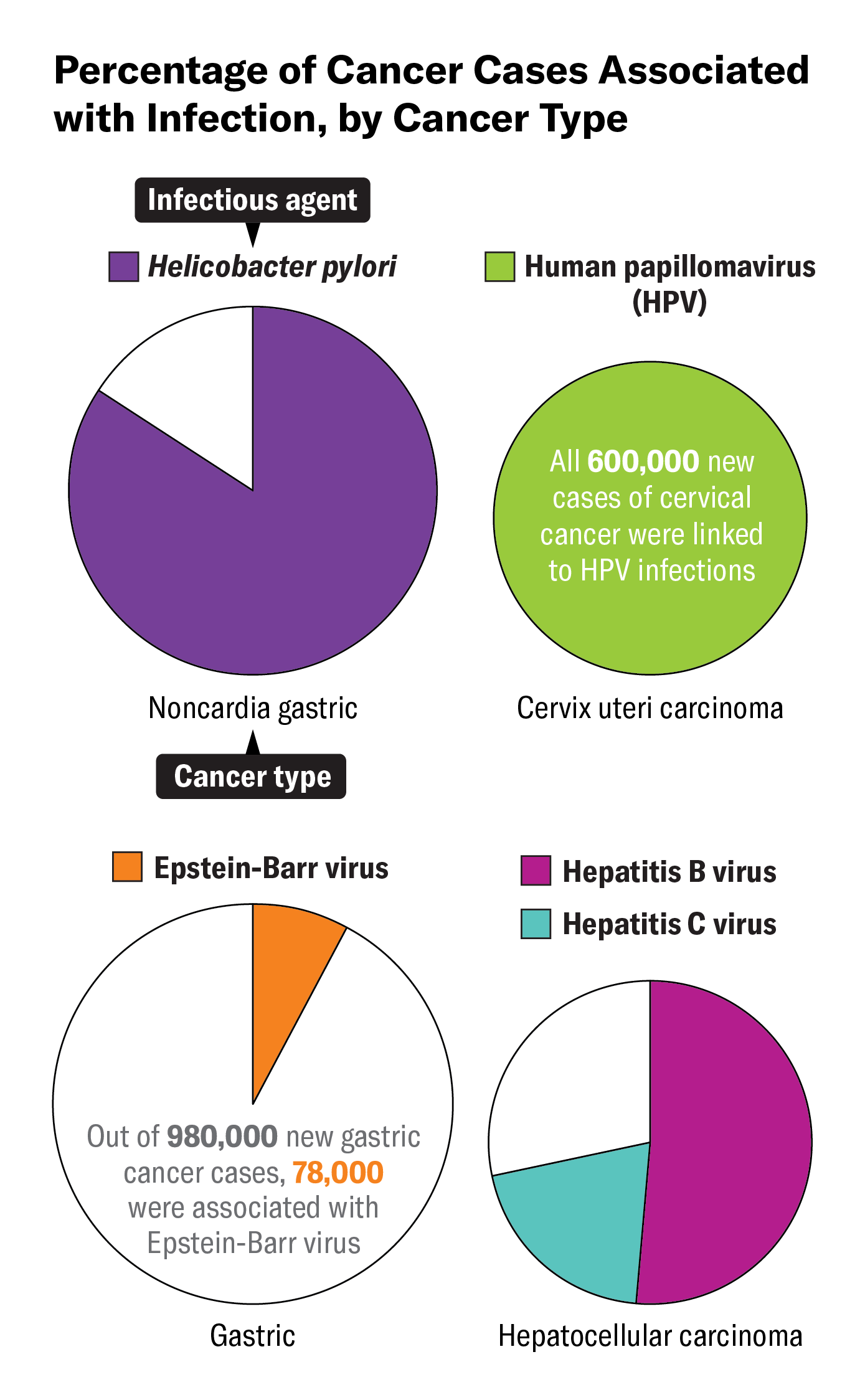 Graphic shows a series of pie charts, each representing one type of cancer, scaled according to how many new cases of that cancer were diagnosed in 2024. Colored areas of the pie charts indicate how many of those cases were associated with infections, with each infection shown in a different color.