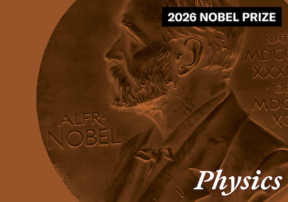 Close-up view of the Nobel Prize in bronze