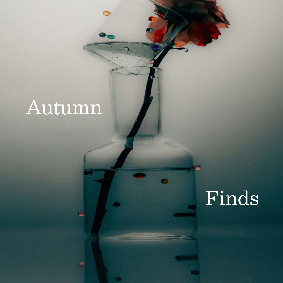 Autumn Finds