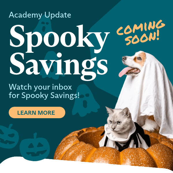 Spooky Savings