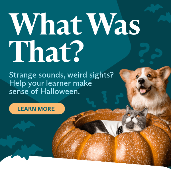 What Was That blog post