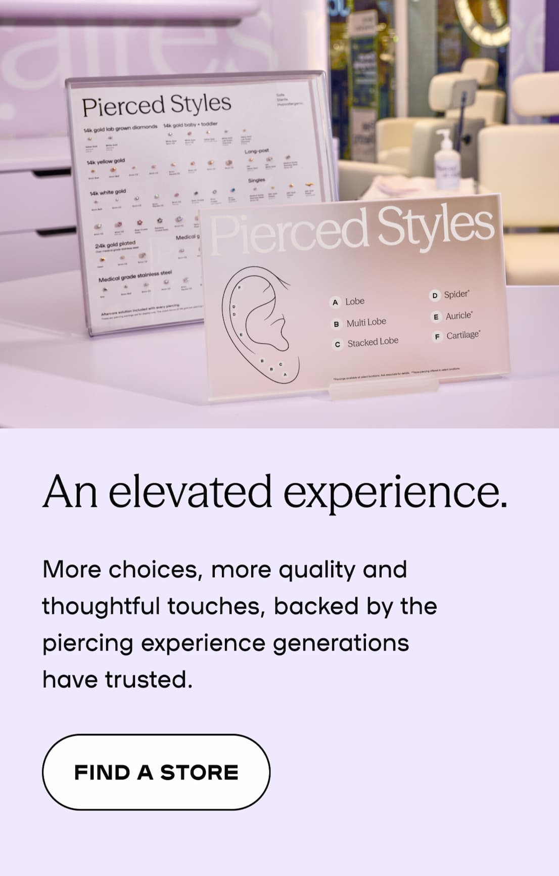 elevated experience