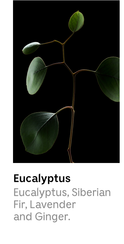 Eucalyptus | Eucalyptus, Siberian Fir, Lavender and Ginger.