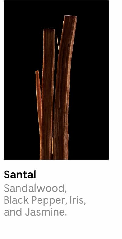 Santal | Sandalwood, Black Pepper, Iris, and Jasmine.