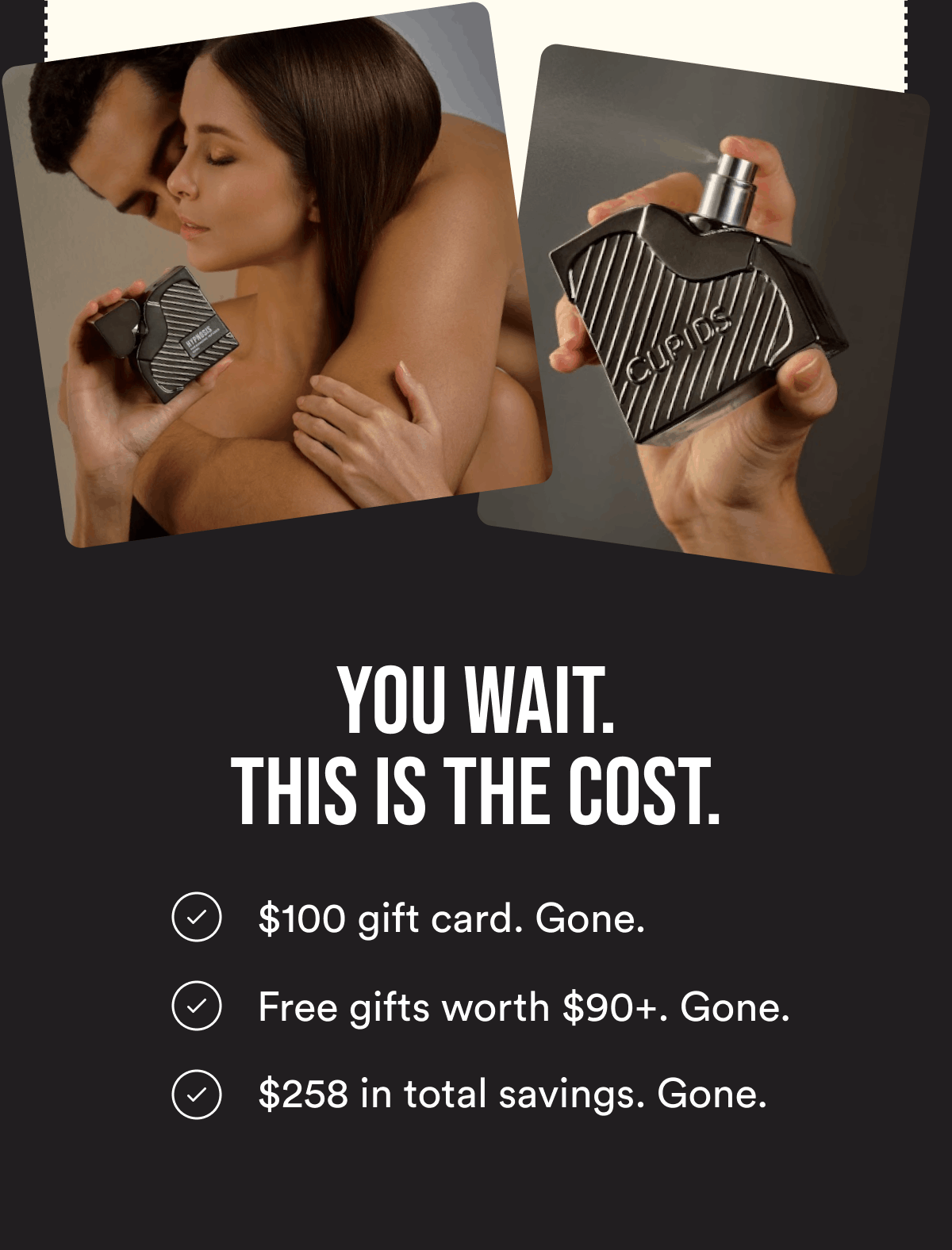 You Wait. This Is The Cost. $100 gift card. Gone. Free gifts worth $90+. Gone. $258 in total savings. Gone.