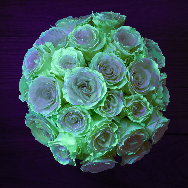 Glow-in-the-Dark Roses Bouq