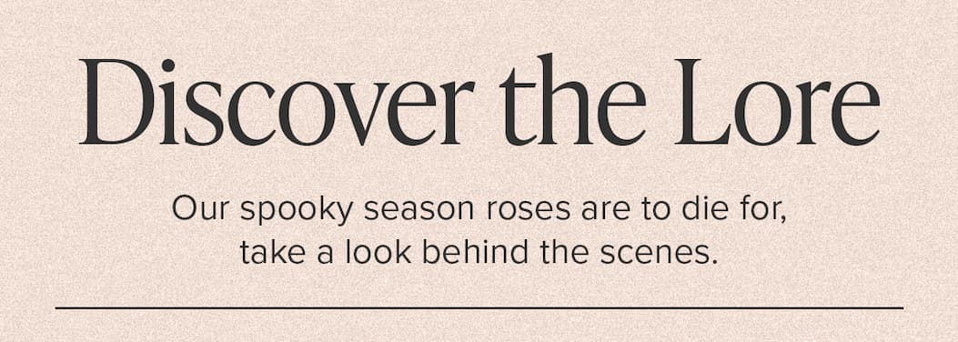 Discover the Lore. Our spooky season roses are to die for, take a look behind the scenes.