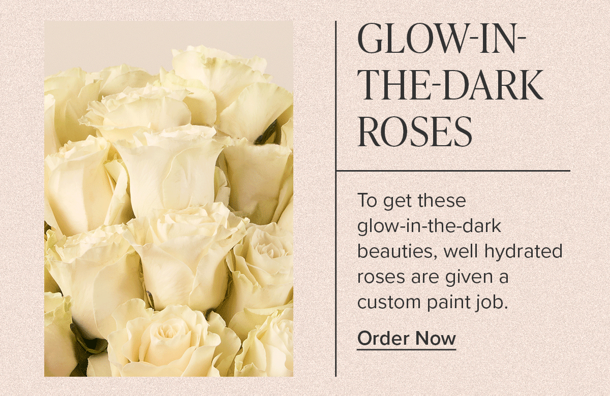 GLOW-IN-THE-DARK ROSES. To get these glow-in-the-dark beauties, well hydrated roses are given custom pain job. Order Now.