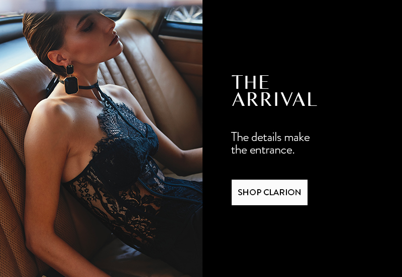Shop Clarion