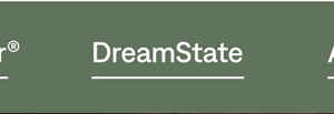 DreamState