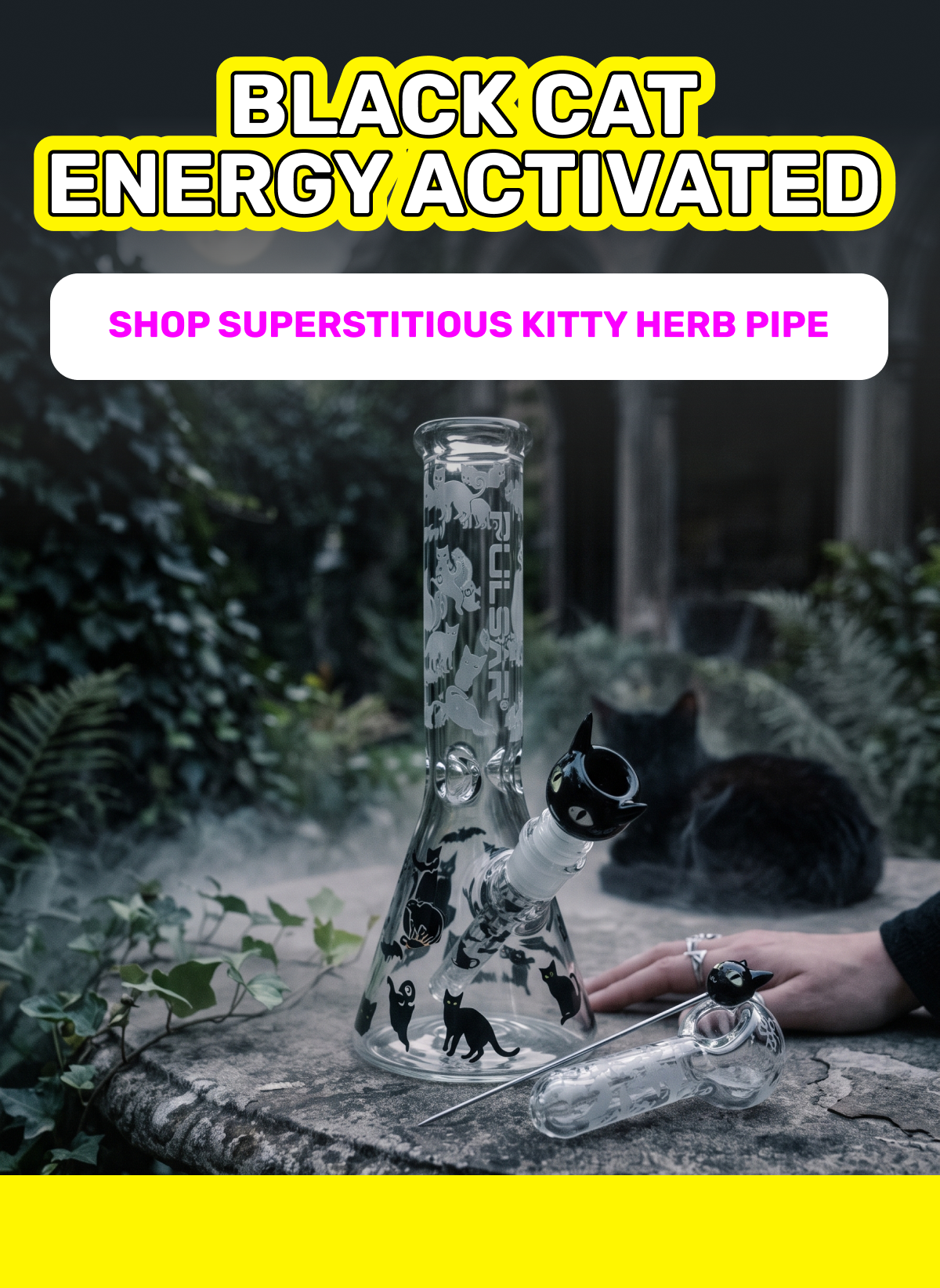 Black Cat Energy Activated