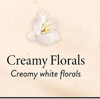 Creamy Florals