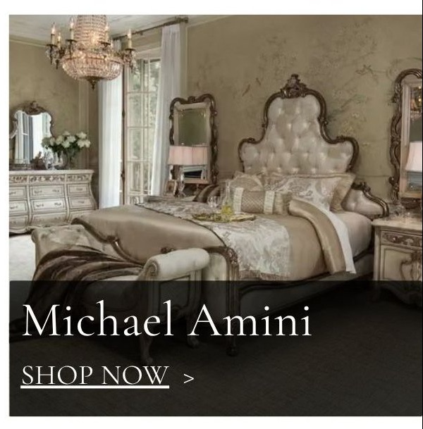Michael Amini