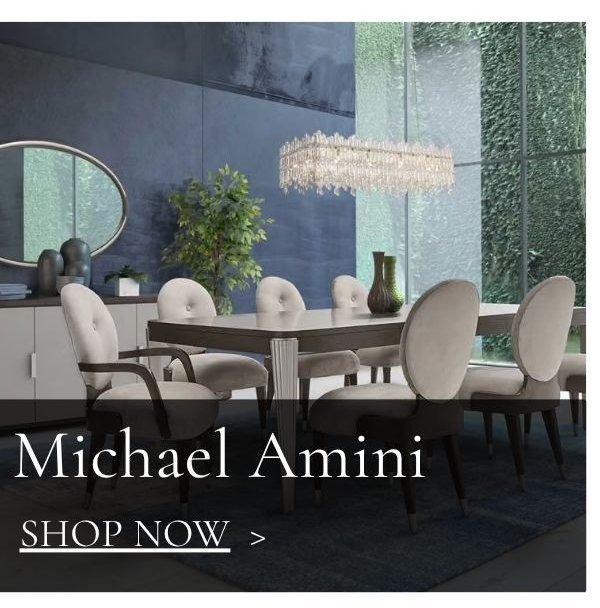 Michael Amini