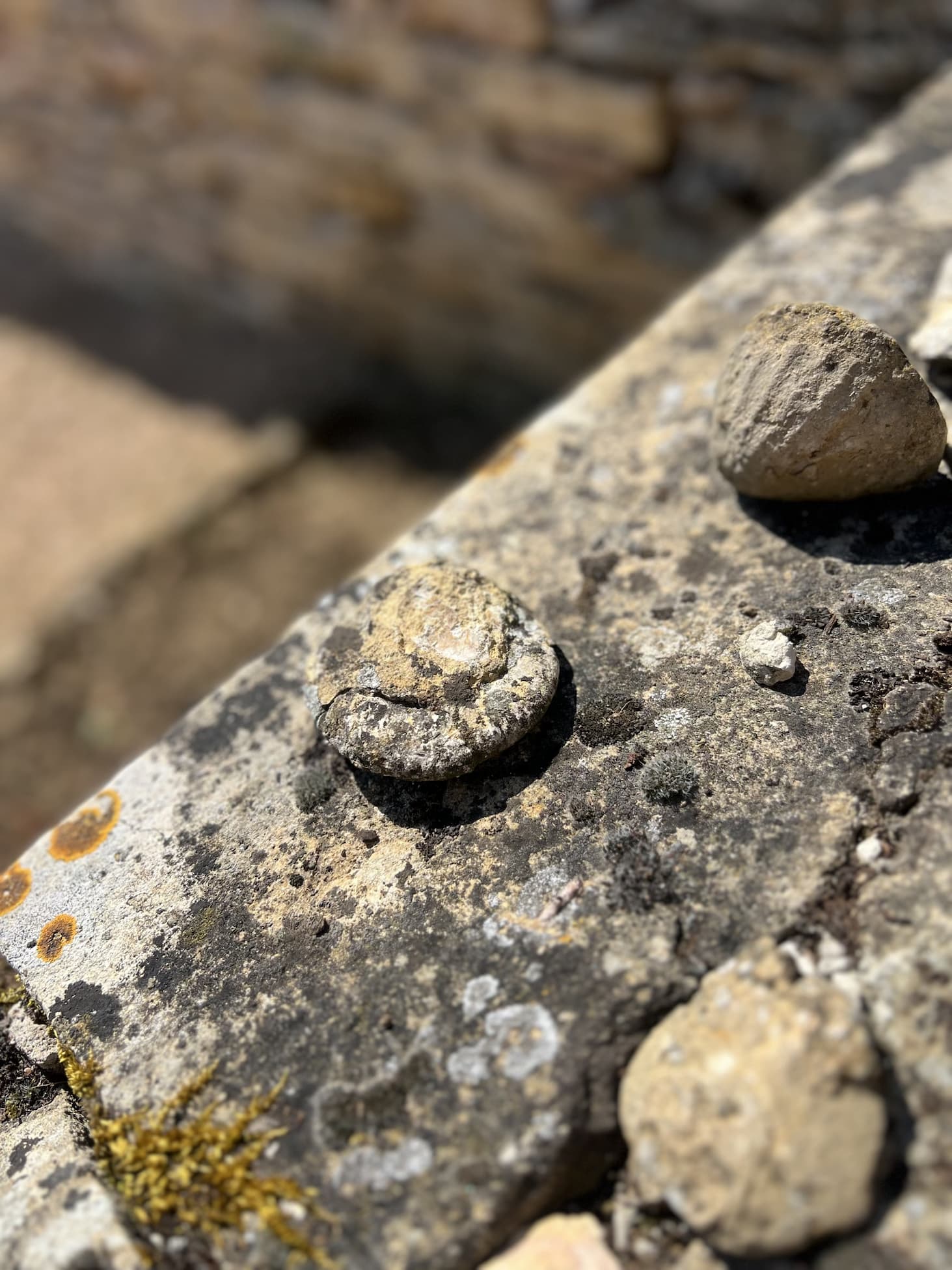 Soil structure in the Mâconnais