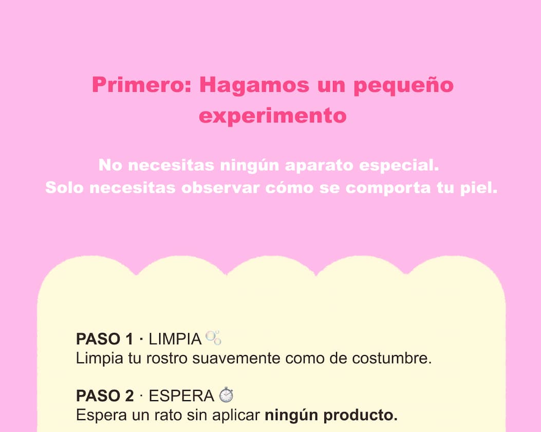 Skincare para principiantes: aprende a conocer tu piel — 3