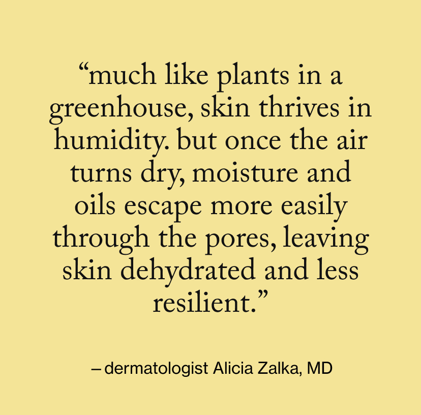 “Much like plants in a greenhouse, skin thrives in humidity. But once the air turns dry, moisture and oils escape more easily through the pores, leaving skin dehydrated and less resilient.”
