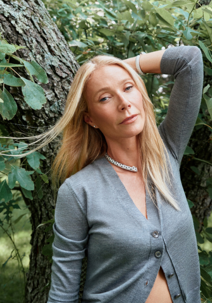 the classic v neck cardigan