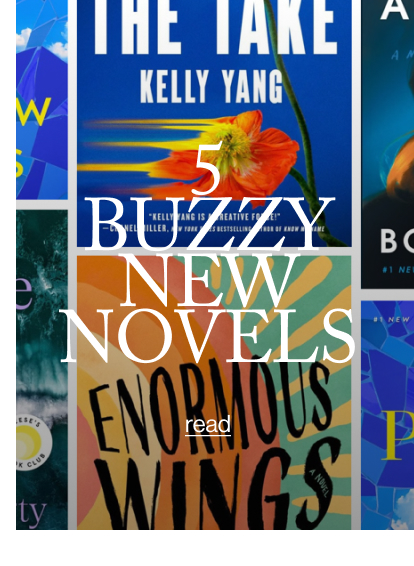 5 BUZZY NEW NOVELS