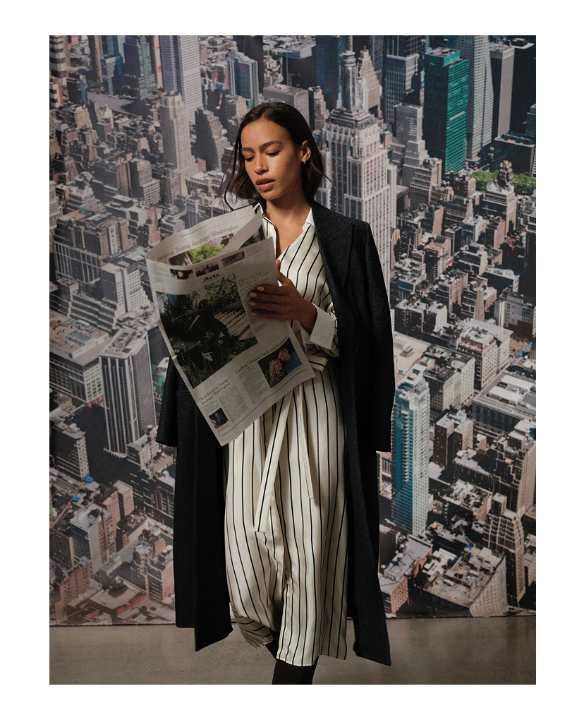 the park avenue stripe shirtdress